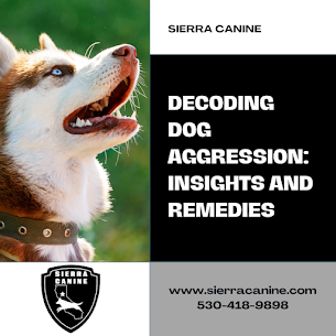 Decoding Dog Aggression